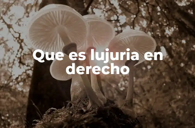 Que es Lujuria en Derecho