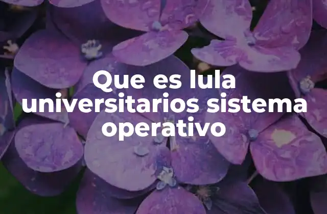 Que es Lula Universitarios Sistema Operativo 2 Características del sistema operativo Lula Universitarios