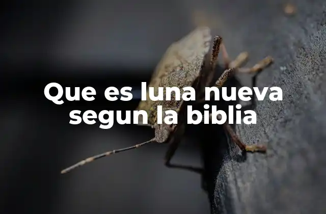 Que es Luna Nueva Segun la Biblia