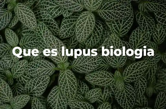 Lupus y su impacto en el sistema inmunológico