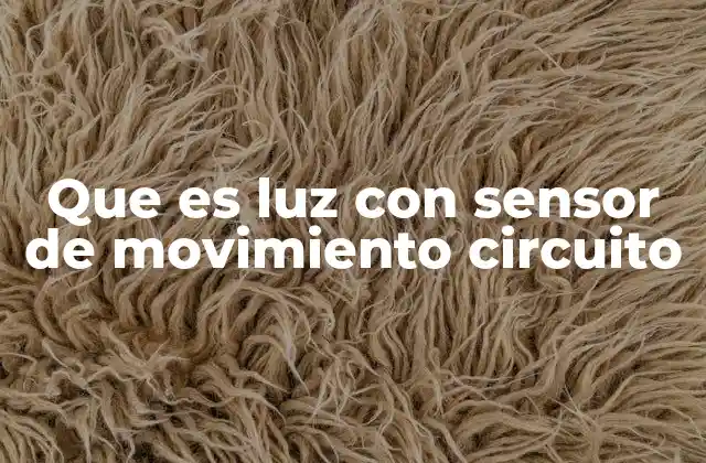 Que es Luz con Sensor de Movimiento Circuito