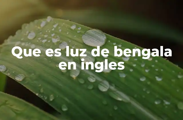 Que es Luz de Bengala en Ingles