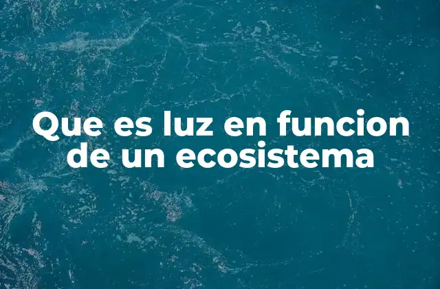 Que es Luz en Funcion de un Ecosistema