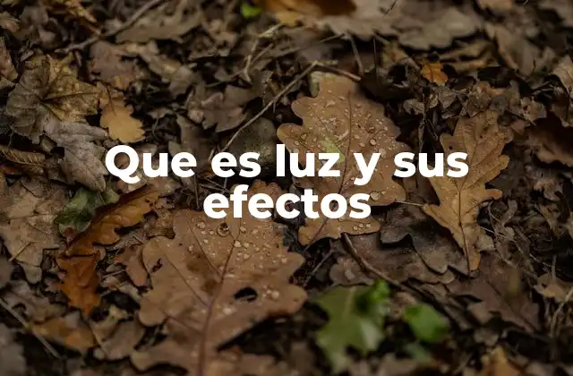 Que es Luz y Sus Efectos 2 La luz como fenómeno natural y su impacto en la vida