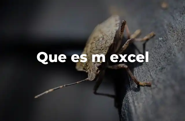 Que es M Excel