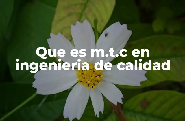 Que es M.t.c en Ingenieria de Calidad