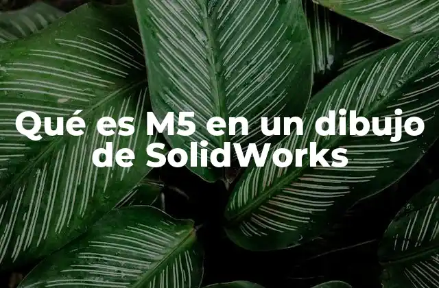 Qué es M5 en un Dibujo de Solidworks