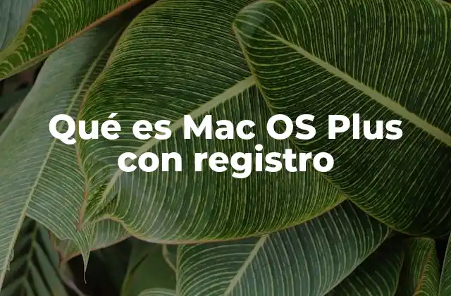 Qué es Mac Os Plus con Registro