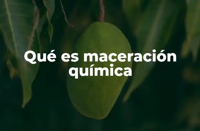 Qué es Maceración Química