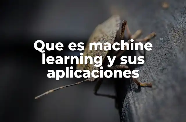 Que es Machine Learning y Sus Aplicaciones