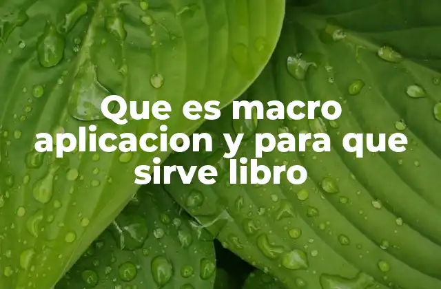 Que es Macro Aplicacion y para que Sirve Libro