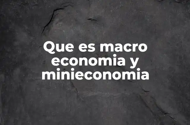 Que es Macro Economia y Minieconomia