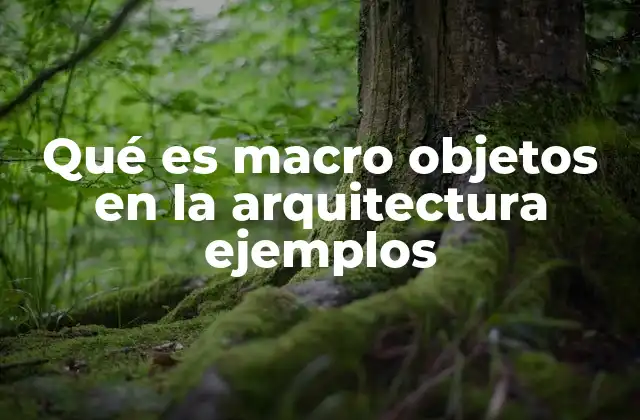 Qué es Macro Objetos en la Arquitectura Ejemplos