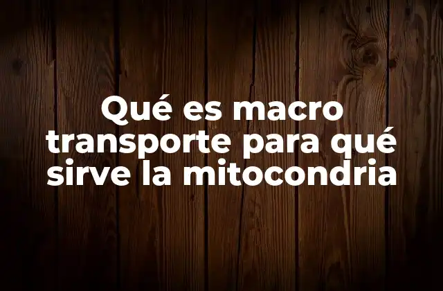 Qué es Macro Transporte para Qué Sirve la Mitocondria 2 El papel de las células en la regulación de nutrientes y energía