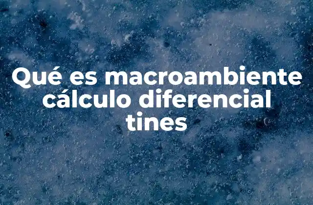 Qué es Macroambiente Cálculo Diferencial Tines