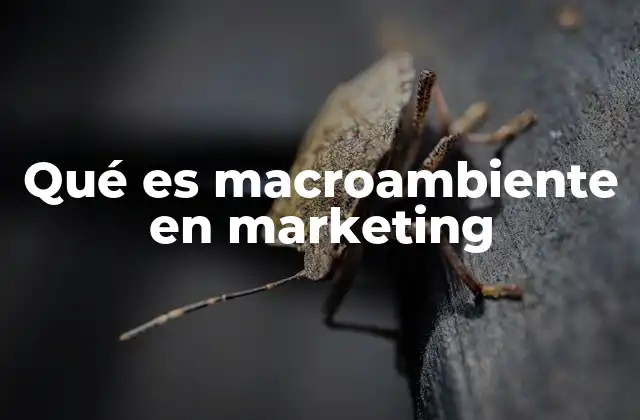 Qué es Macroambiente en Marketing