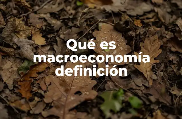 Qué es Macroeconomía Definición 2 Cómo la macroeconomía influye en la toma de decisiones económicas