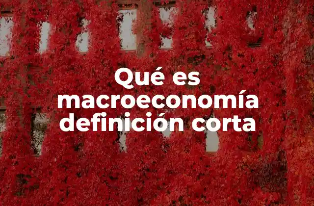 Qué es Macroeconomía Definición Corta