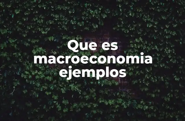 Que es Macroeconomia Ejemplos