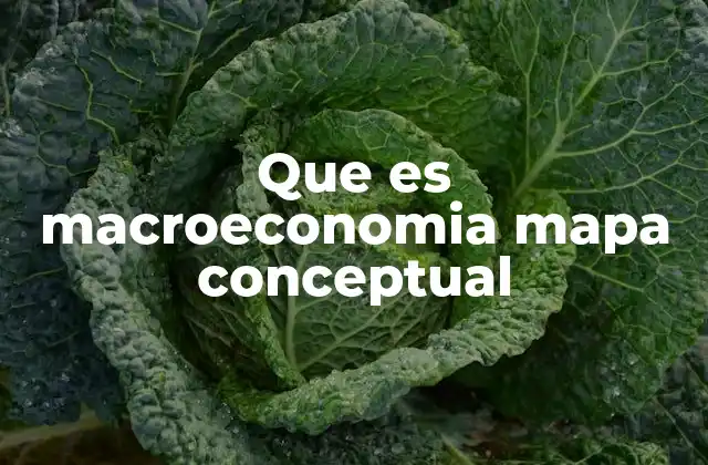 La importancia de la visualización en el aprendizaje de la macroeconomía