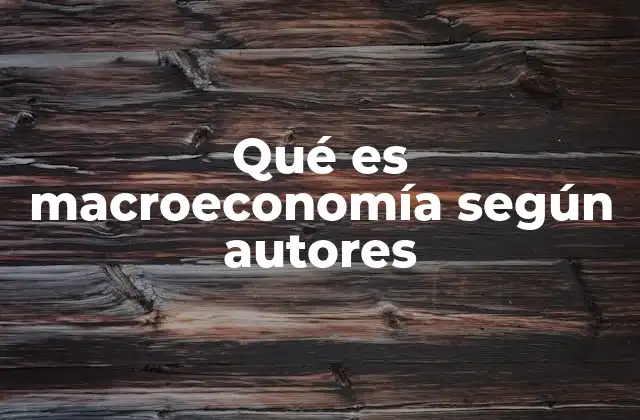 Qué es Macroeconomía según Autores