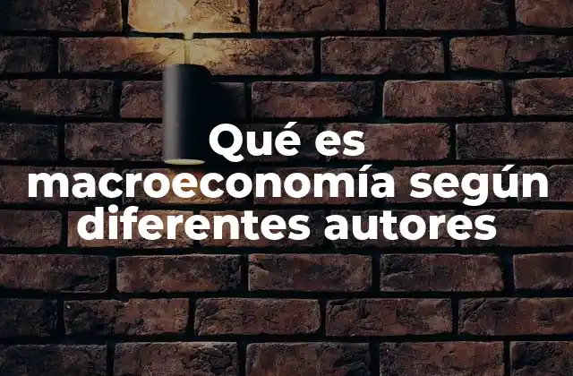 Qué es Macroeconomía según Diferentes Autores