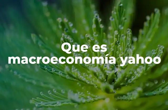 Que es Macroeconomía Yahoo