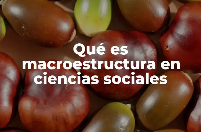 Qué es Macroestructura en Ciencias Sociales