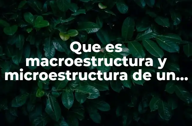 Que es Macroestructura y Microestructura de un Texto 2 La importancia de analizar la estructura textual