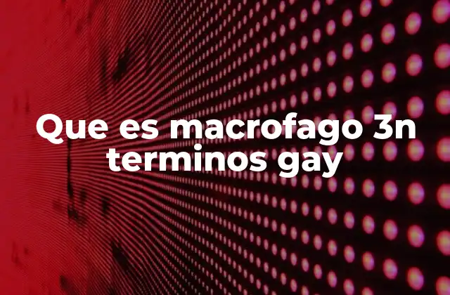Que es Macrofago 3n Terminos Gay 2 El lenguaje y la identidad en el mundo LGBTQ+