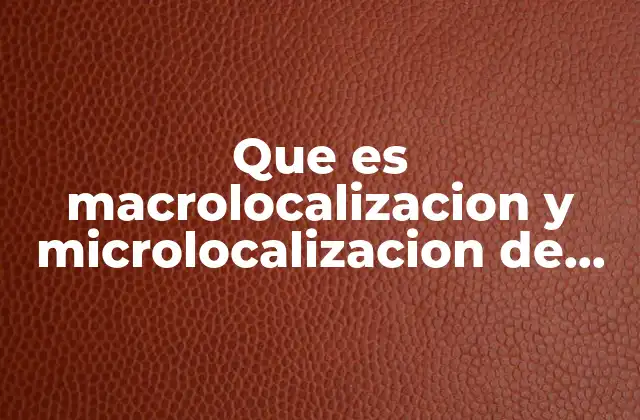 Que es Macrolocalizacion y Microlocalizacion de un Proyecto