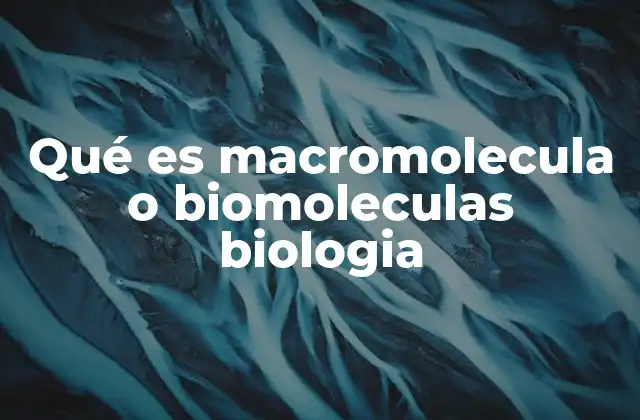 Qué es Macromolecula o Biomoleculas Biologia