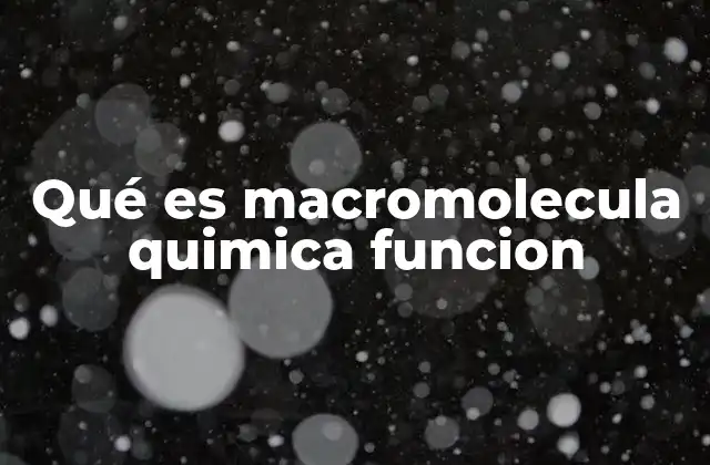 Qué es Macromolecula Quimica Funcion