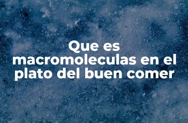 Que es Macromoleculas en el Plato Del Buen Comer