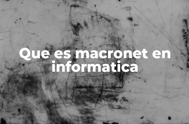 Que es Macronet en Informatica
