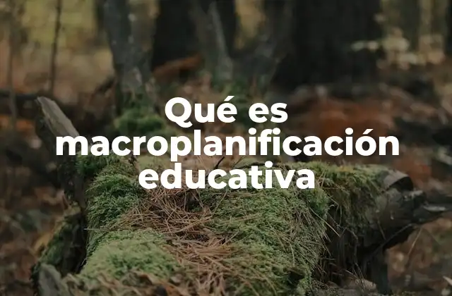 Qué es Macroplanificación Educativa