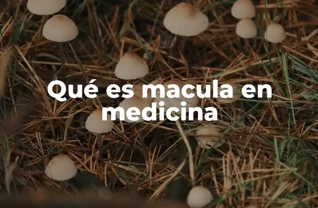 Qué es Macula en Medicina