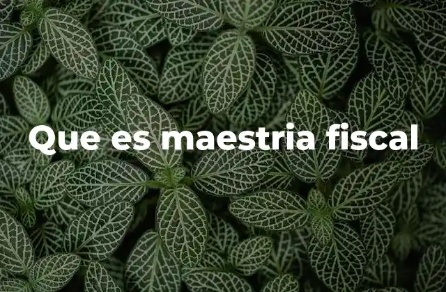 Que es Maestria Fiscal