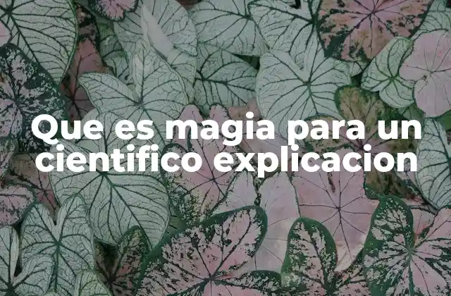 Que es Magia para un Cientifico Explicacion
