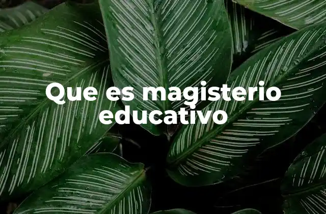 Que es Magisterio Educativo