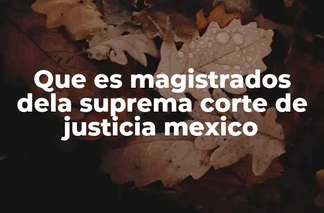 Que es Magistrados Dela Suprema Corte de Justicia Mexico
