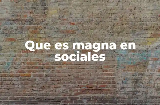 Que es Magna en Sociales