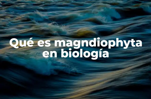 Qué es Magndiophyta en Biología