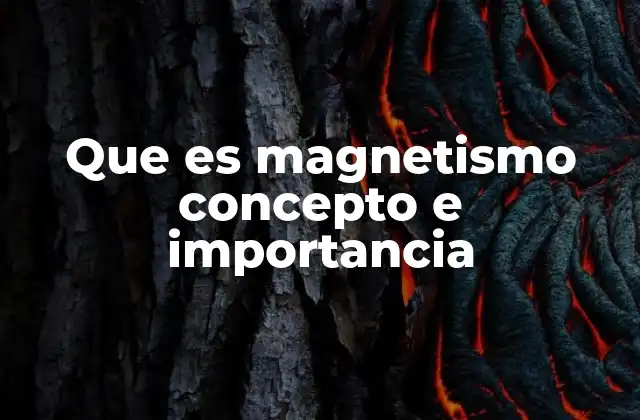 Que es Magnetismo Concepto e Importancia