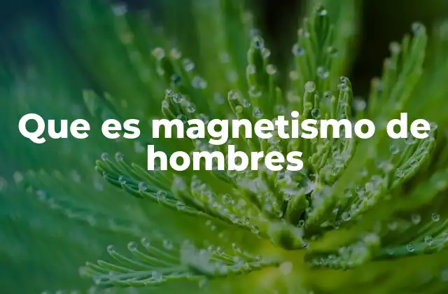 Que es Magnetismo de Hombres