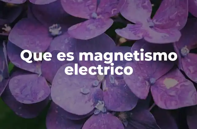 Que es Magnetismo Electrico