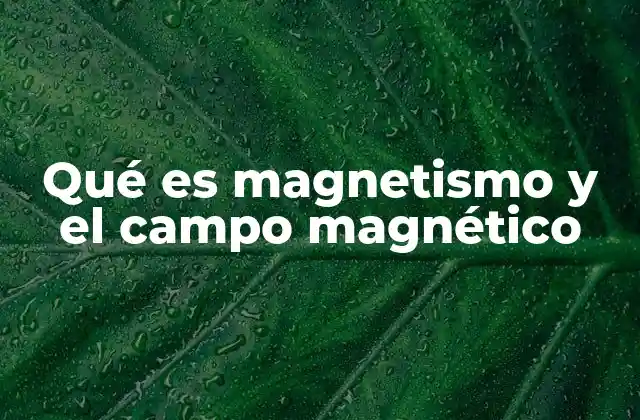El magnetismo como fenómeno natural y su impacto en la vida cotidiana