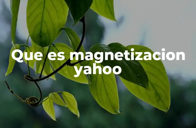 Que es Magnetizacion Yahoo