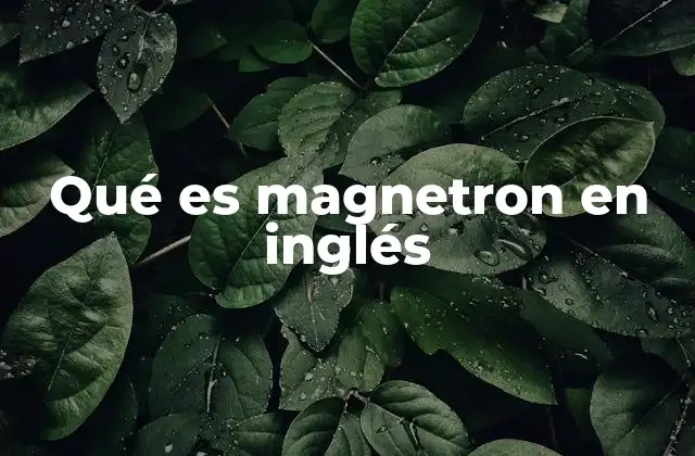 Qué es Magnetron en Inglés