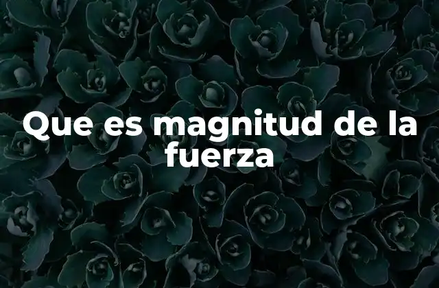 Que es Magnitud de la Fuerza